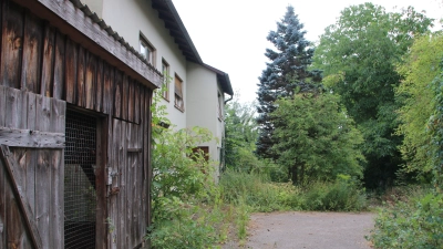 Im Dornröschenschlaf liegt derzeit das Grundstück, das in städtischen Besitz ist. Im Stadtrat wurde eine Machbarkeitsstudie für ein Bauzentrum vorgestellt. (Archivbild: Martina Haas)