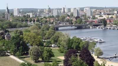 Der Blick vom Flatowturm über den Park Babelsberg. (Foto: Bernd Settnik/dpa-Zentralbild/dpa)