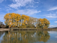 Goldener Herbst am Lindleinsee - gesehen bei Schweinsdorf (Foto: Werner Schmidt)