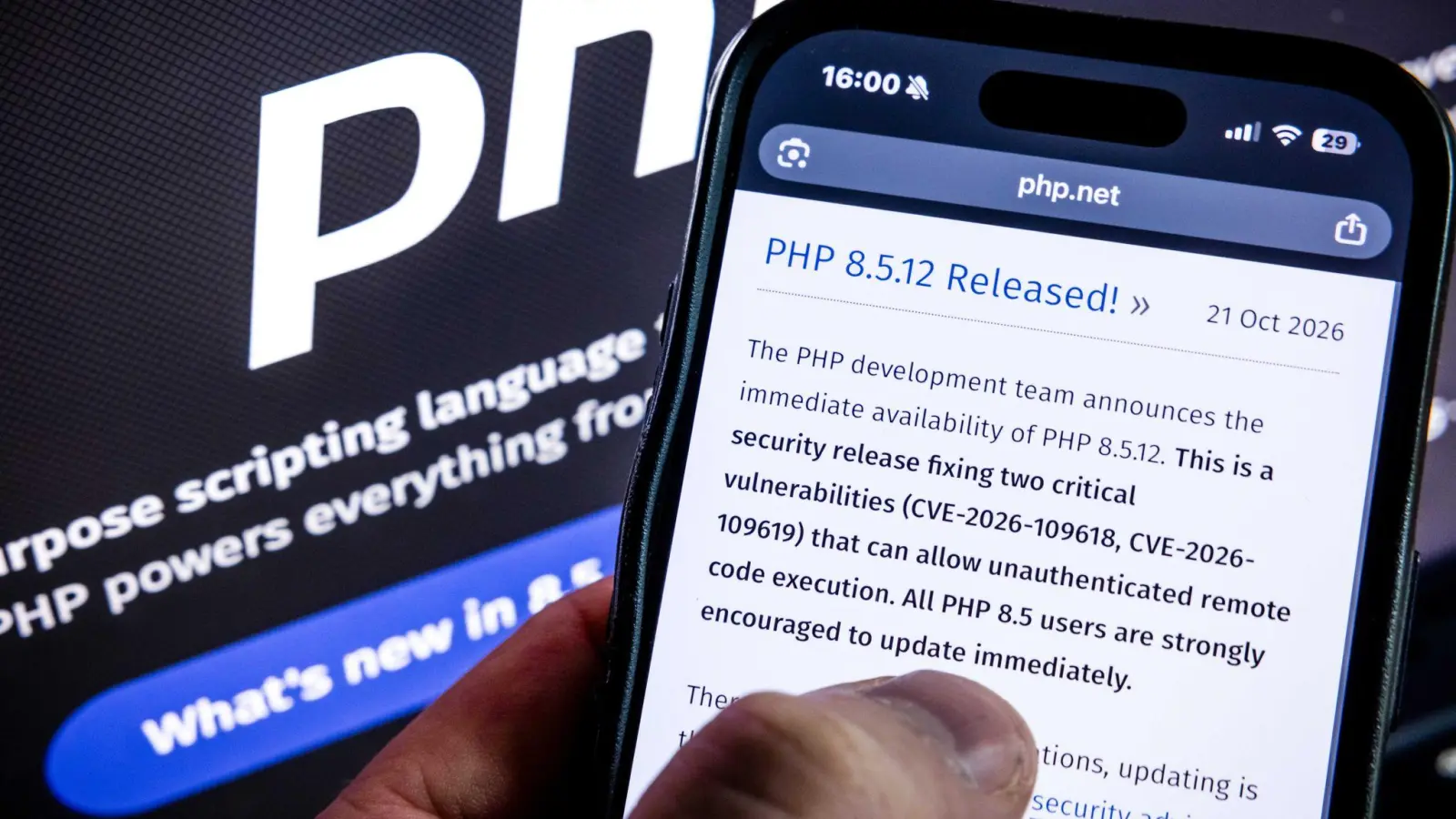 Angreifbare Webseiten sollten nach Ansicht eines Experten sofort abgeschaltet werden.  (Foto: Rob Engelaar/ANP/dpa)