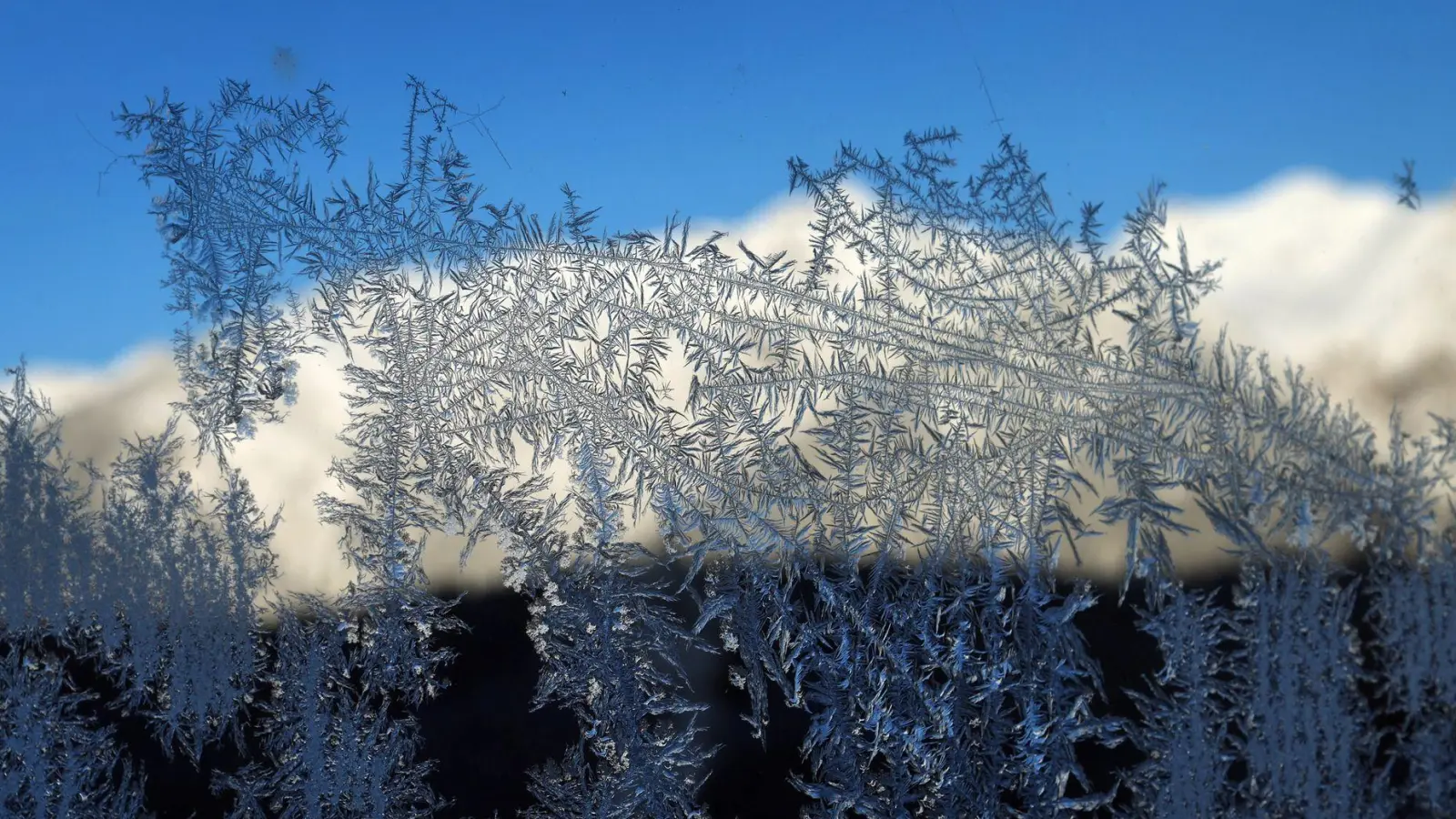 Am Wochenende ist in den Alpen mit neuem Schneefall zu rechen. (Foto: Karl-Josef Hildenbrand/dpa)