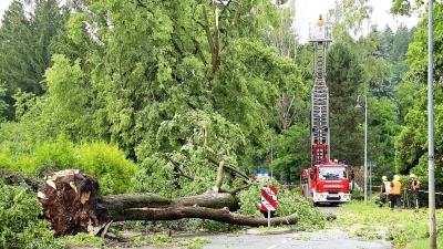 Über den Norden von Rheinland-Pfalz sind am Abend schwere Unwetter hinweggezogen, mindestens zwei Menschen wurden im Bereich der Polizeidirektion Mayen durch einen umstürzenden Baum schwer verletzt. (Symbolbild) (Foto: André März/News5/dpa)