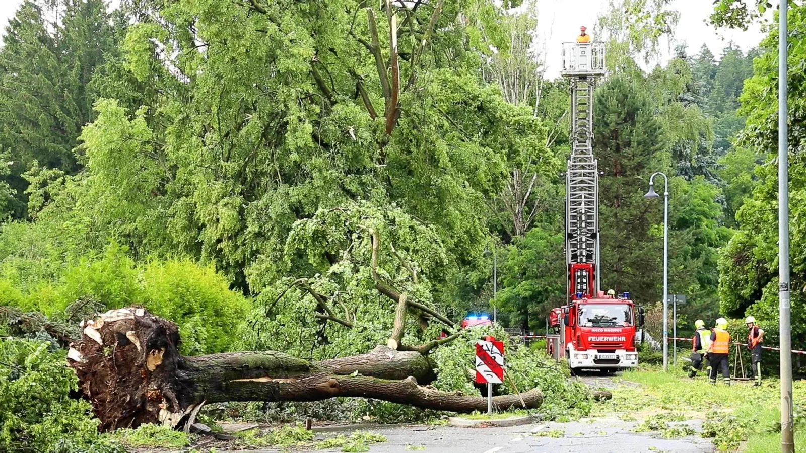 Über den Norden von Rheinland-Pfalz sind am Abend schwere Unwetter hinweggezogen, mindestens zwei Menschen wurden im Bereich der Polizeidirektion Mayen durch einen umstürzenden Baum schwer verletzt. (Symbolbild) (Foto: André März/News5/dpa)