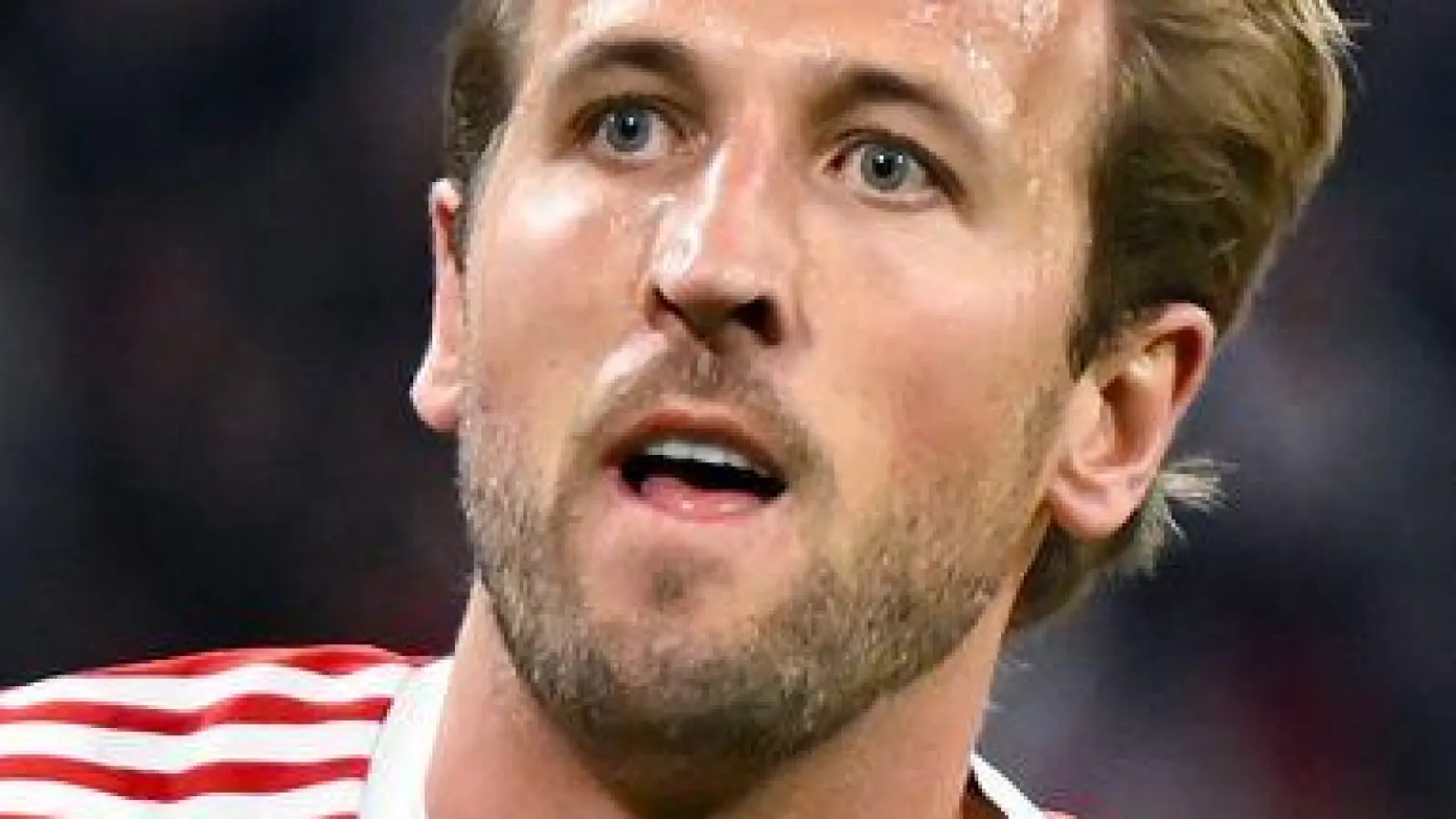 Harry Kane ist beim FC Bayern in der Form seines Lebens. (Archivfoto) (Foto: Sven Hoppe/dpa)