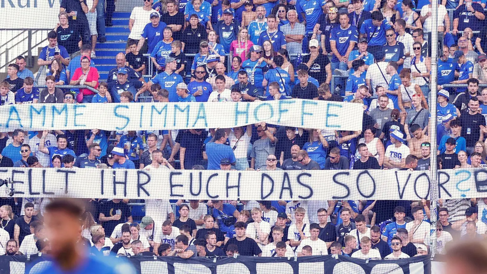 Ein neuer Sport-Geschäftsführer der TSG 1899 Hoffenheim soll wohl bald ernannt werden. (Foto: Heiko Becker/dpa)