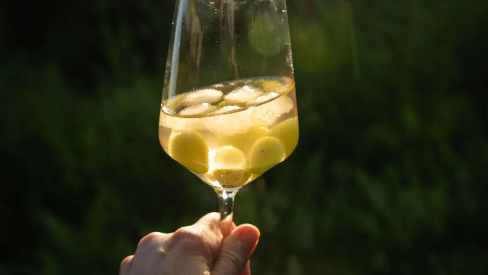 Cooling-Effekt: Geeiste Weintrauben und Eiswürfel aus Wein sorgen dafür, dass der Weißwein nicht verwässert. (Foto: Christin Klose/dpa-tmn)