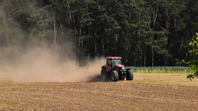 Bei der Bodenbearbeitung staubte es nicht nur. Es kam auch zu einem hohen Materialverschleiß an Grubber- und Pflugscharen. Dafür entwickelte sich nach dem einsetzenden Regen die Zwischenfrucht gut. (Foto: Fritz Arnold)