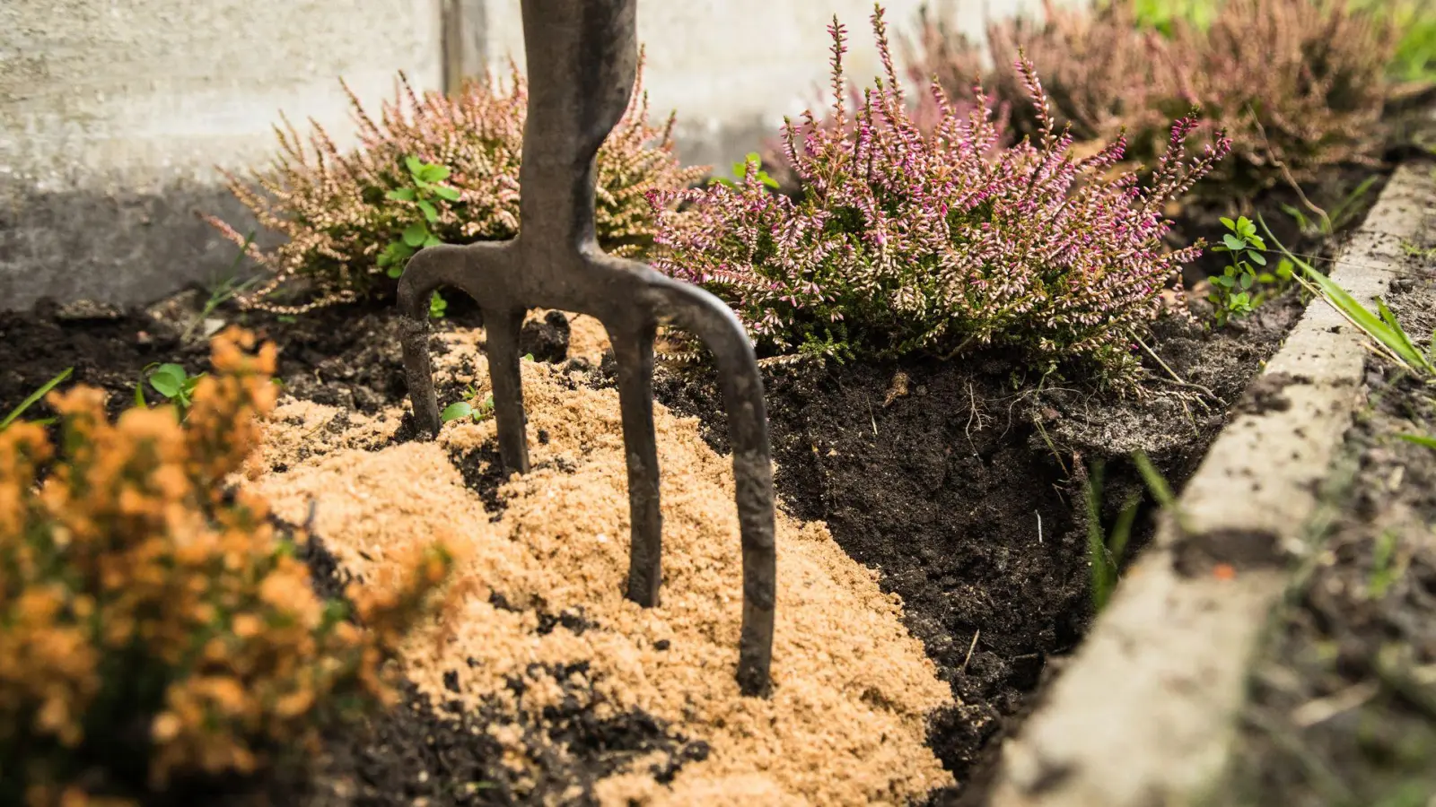 Weniger ist mehr: Umgraben ist oft gar nicht nötig, um den Gartenboden auf die nächste Saison vorzubereiten. (Foto: Christin Klose/dpa Themendienst/dpa-tmn)