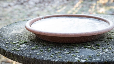 Bei Minusgraden: Eine vereiste Vogeltränke bietet Vögeln kein Trinkwasser mehr. (Foto: Christin Klose/dpa-tmn)