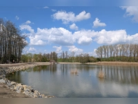 Alter See, neue Ufer - gesehen bei Rothenburg (Foto: Werner Schmidt)