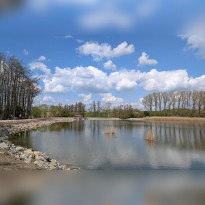 Alter See, neue Ufer - gesehen bei Rothenburg (Foto: Werner Schmidt)