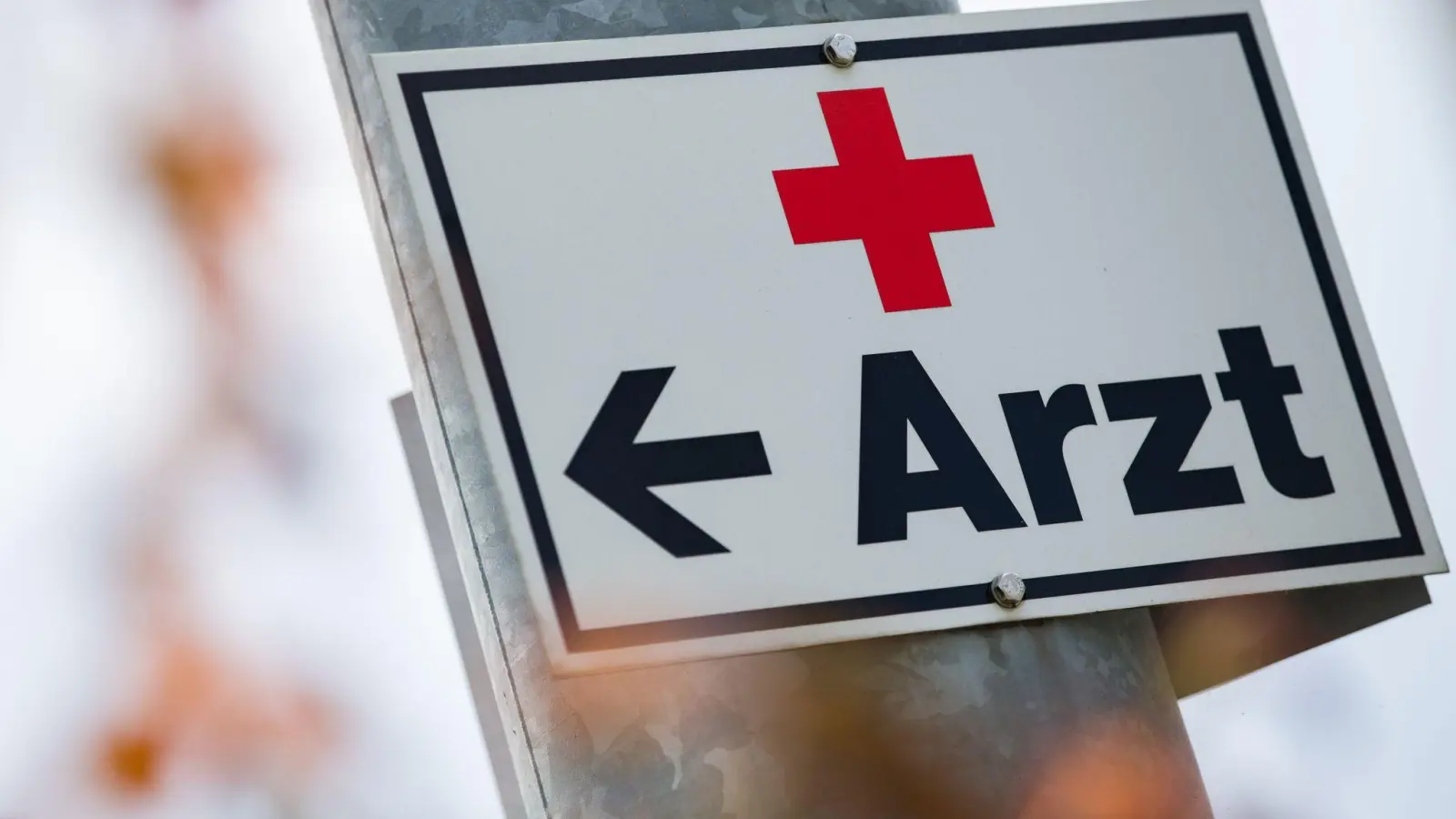 Mit dem vorklinischen Wahlpflichtfach „Das volle Leben“ bereitet die Medizinische Fakultät der Universität Tübingen ihre Studierenden auf die Arbeit als Landarzt vor. (Foto: Tom Weller/dpa)