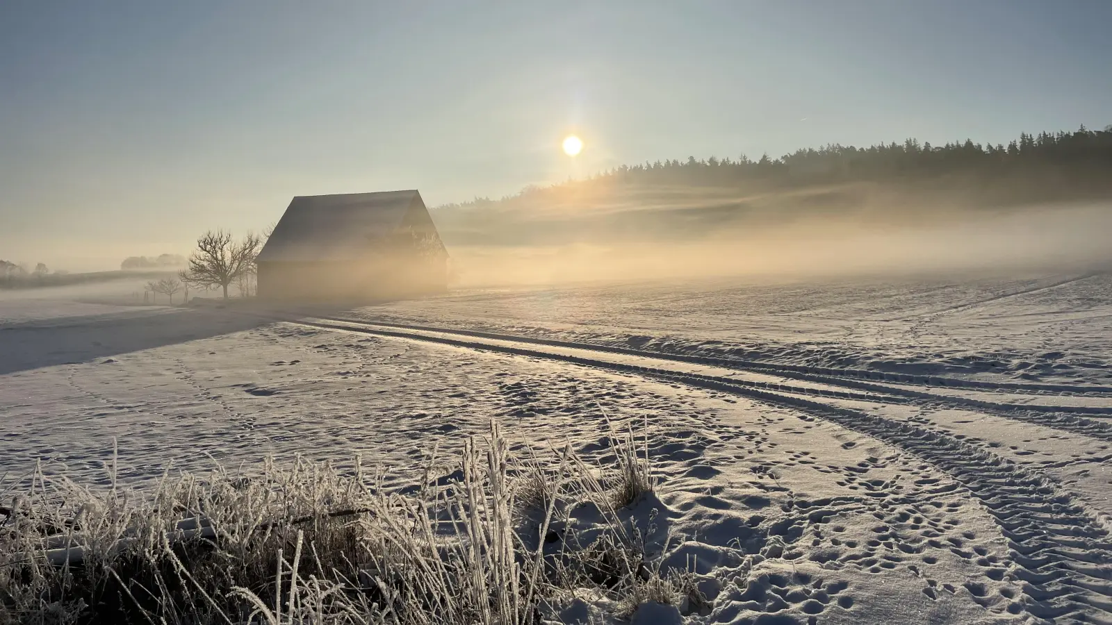 Platz 10: Sonnenschnee bei Grüb. (72 Votes) (Foto: Christine Strasser	)