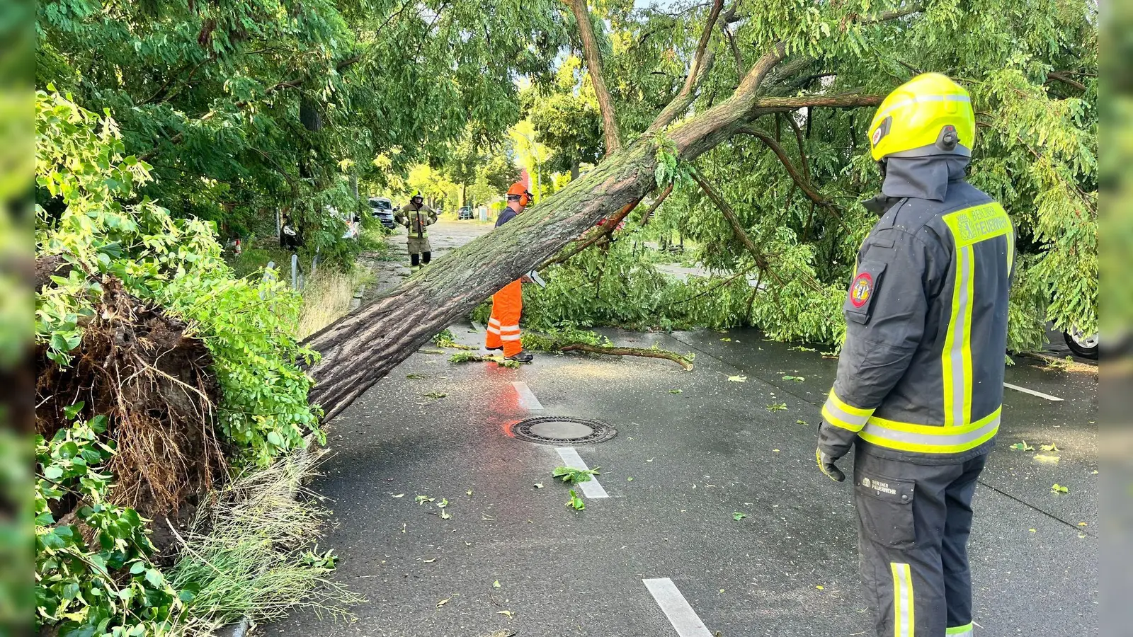Am späten Nachmittag und Abend ziehen Unwetter über Teile Deutschlands. (Foto: Jens Dudziak/dpa)