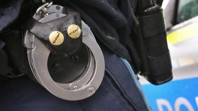 Die Welpen sind nach ersten Informationen wohlauf. (Symbolbild) (Foto: Karl-Josef Hildenbrand/dpa)
