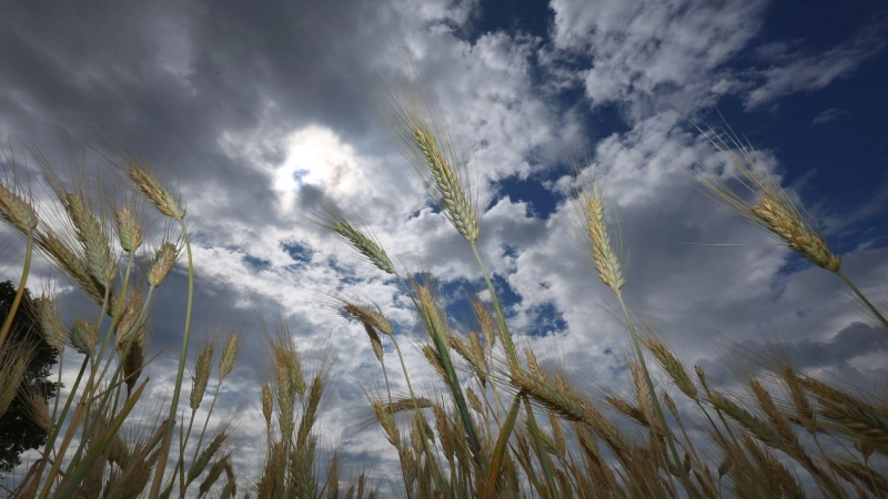 Zum Wochenstart ziehen noch graue Wolken über Bayern. (Foto: Karl-Josef Hildenbrand/dpa)
