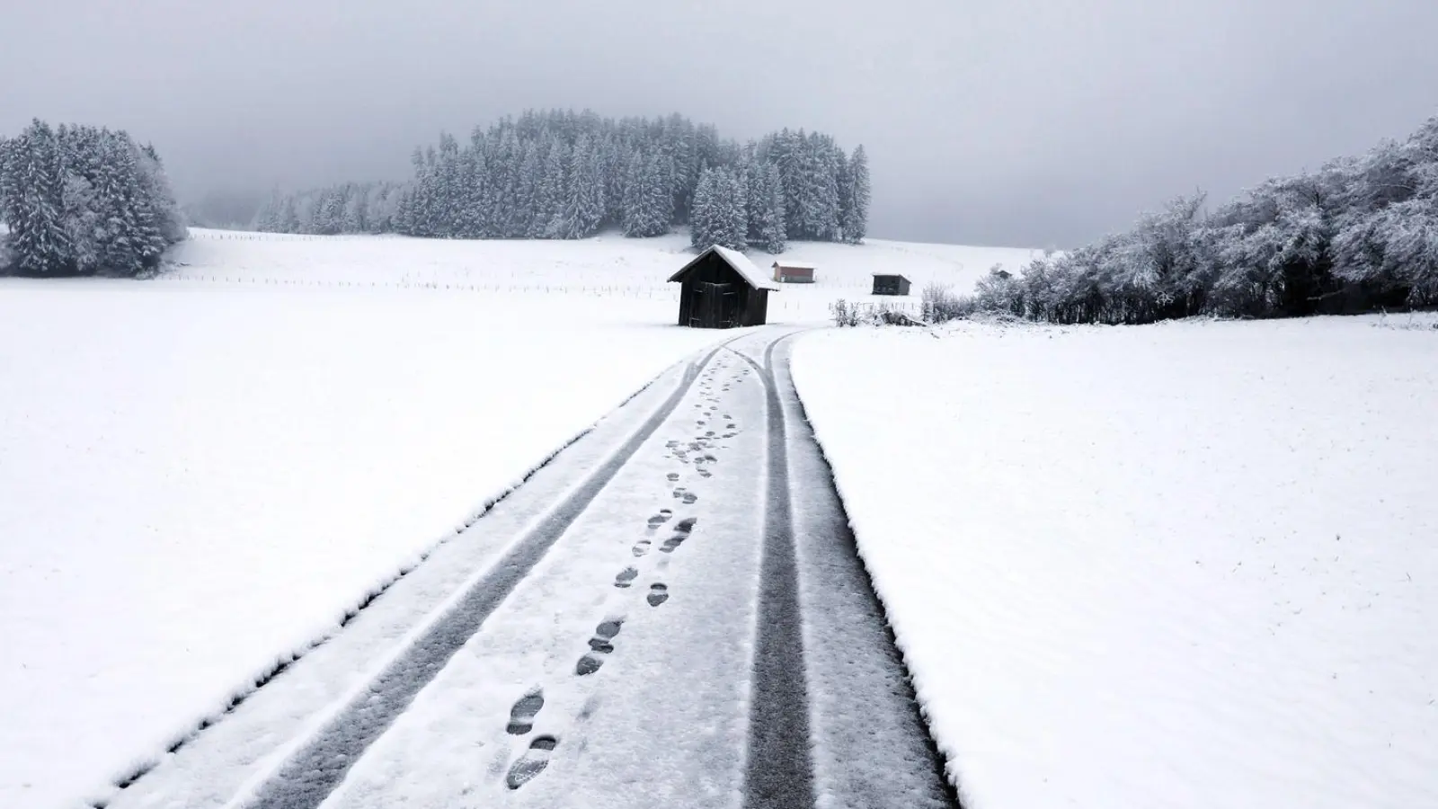 In den kommenden Tagen fällt auch in den niedrigeren Lagen des Freistaats Schnee.  (Foto: Karl-Josef Hildenbrand/dpa)