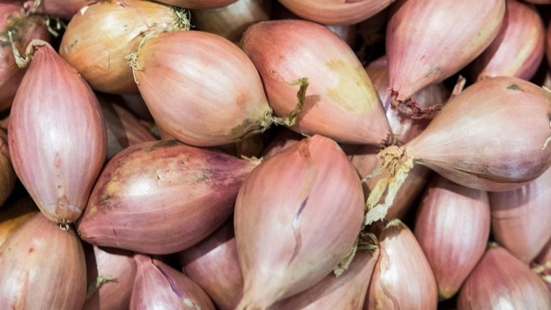 Pikant-süßliches Aroma, aber schwer zu schälen: Schalotten. (Foto: Robert Günther/dpa-tmn)