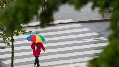 Die breiten Streifen eines Zebrastreifens sind auch aus der Ferne gut sichtbar. Oft sind jedoch die genauen Regelungen für Autofahrerinnen und Autofahrer unklar. (Foto: Christophe Gateau/dpa/dpa-tmn)