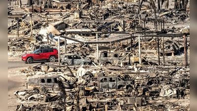 Die Aufbauarbeiten nach den Flächenbränden im Januar werden lange dauern. (Archivbild)  (Foto: Noah Berger/AP/dpa)