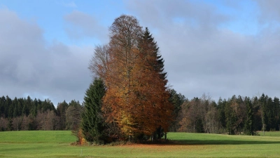 Der Herbst bringt für die Menschen in Bayern die nächsten Tage milde Temperaturen. (Archivbild) (Foto: Karl-Josef Hildenbrand/dpa)