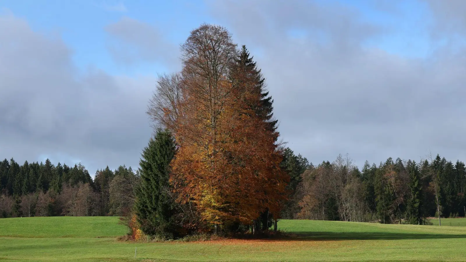 Der Herbst bringt für die Menschen in Bayern die nächsten Tage milde Temperaturen. (Archivbild) (Foto: Karl-Josef Hildenbrand/dpa)
