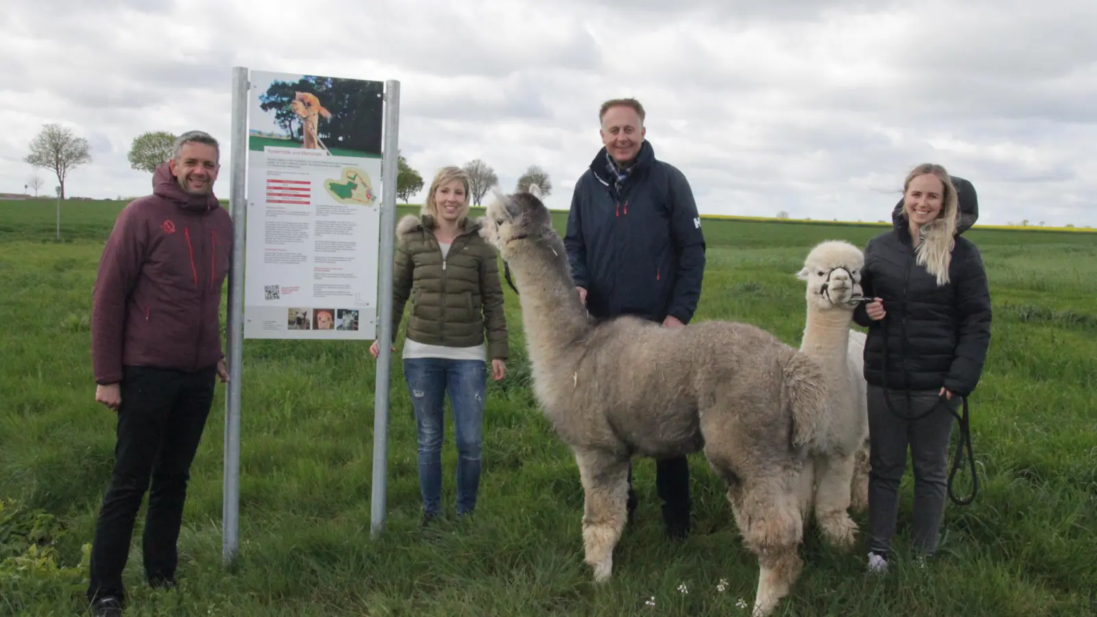 Bürgermeister Stefan Bach (von links), Initiatorin Anne Weeger, Baudirektor Werner Heindl und Umsetzungsbegleiterin Svenja Schäfer sind überzeugt, dass der Alpaka-Lehrpfad eine interessante Bereicherung für die Region ist. Die Alpakas Hector und Monti nahmen es gelassen hin. (Foto: Robert Maurer)