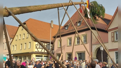 Hier schien noch alles normal, doch kaum stand der Scheinfelder Kerwabaum auf dem Marktplatz, brach die Spitze ab und stürzte zu Boden.  (Foto: Sandra Buchwald)