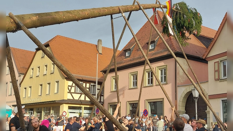 Hier schien noch alles normal, doch kaum stand der Scheinfelder Kerwabaum auf dem Marktplatz, brach die Spitze ab und stürzte zu Boden.  (Foto: Sandra Buchwald)