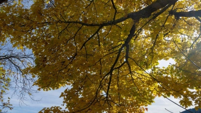 Auf mildes Herbstwetter am Samstag folgte am Sonntag vielerorts reichlich Regen. (Foto: Stefan Puchner/dpa)