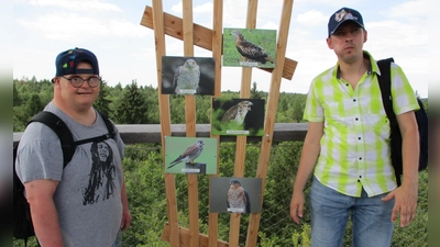 Bei einem Ausflug genossen Hartmut Zieher (links) und Konstantin Geier den tollen Ausblick vom Baumwipfelpfad in Ebrach. (Foto: Lebenshilfe)