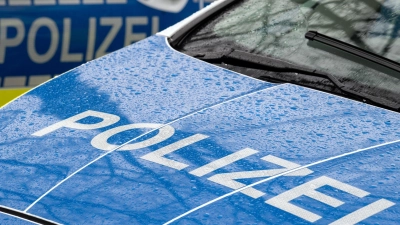 Die Kinder starben trotz aller Hilfe an der Unfallstelle. (Symbolbild) (Foto: Soeren Stache/dpa)