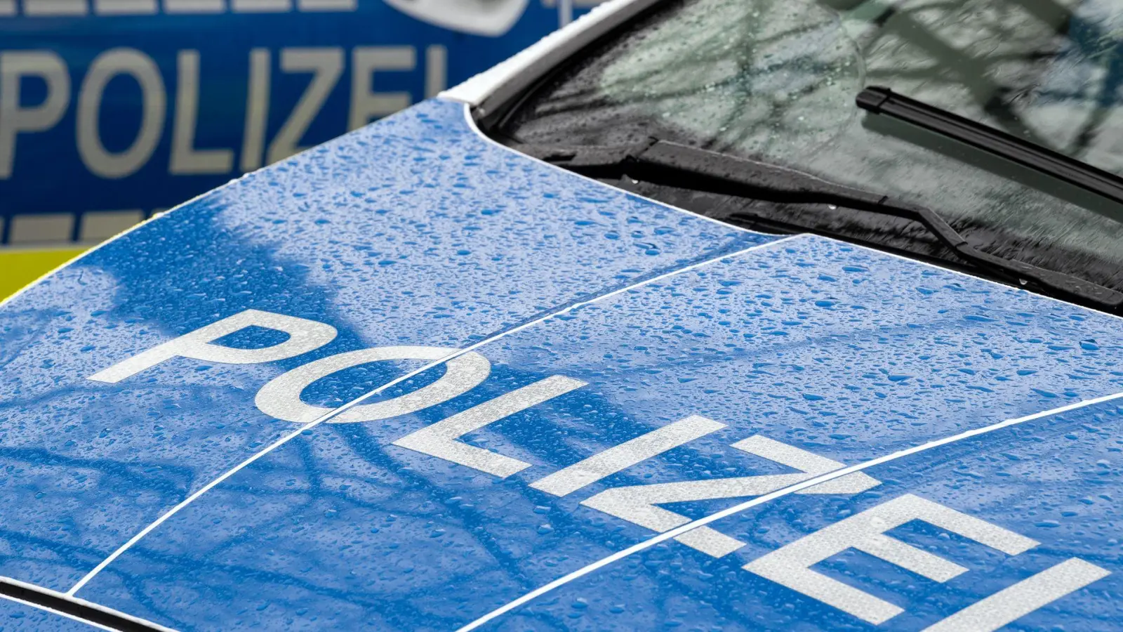 Die Kinder starben trotz aller Hilfe an der Unfallstelle. (Symbolbild) (Foto: Soeren Stache/dpa)
