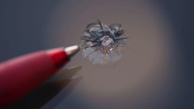 Kleiner Steinschlag - großer Ärger: Muss man bei einem Mietwagen in so einem Fall zahlen? (Foto: Arno Burgi/dpa-Zentralbild/dpa-tmn)