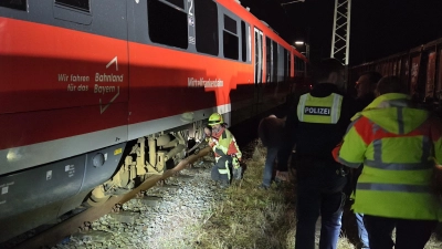 Eine Rauchentwicklung an einer S-Bahn rief mehrere Feuerwehren am Bahnhof Steinach auf den Plan. (Foto: Rainer Weiskirchen)