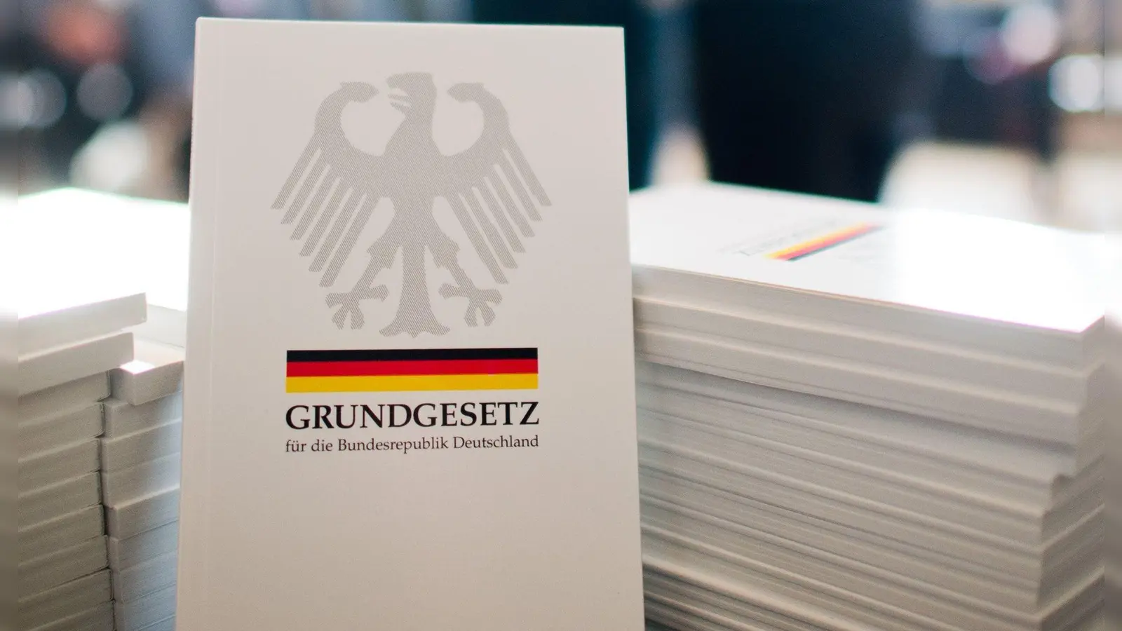 Das Grundgesetz regelt den Weg zu einer Neuwahl. (Foto: Julian Stratenschulte/dpa)