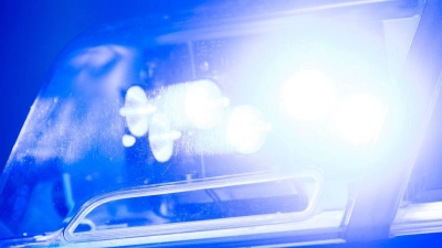 Um die Anwohner zu beruhigen, fängt die Polizei das Tierchen ein.  (Foto: Lino Mirgeler/dpa)