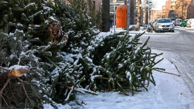 Die Christbäume waren jeweils mit vier Euro als Spende für die Pfadfinder bestückt. (Symbolbild) (Foto: Jens Kalaene/dpa)