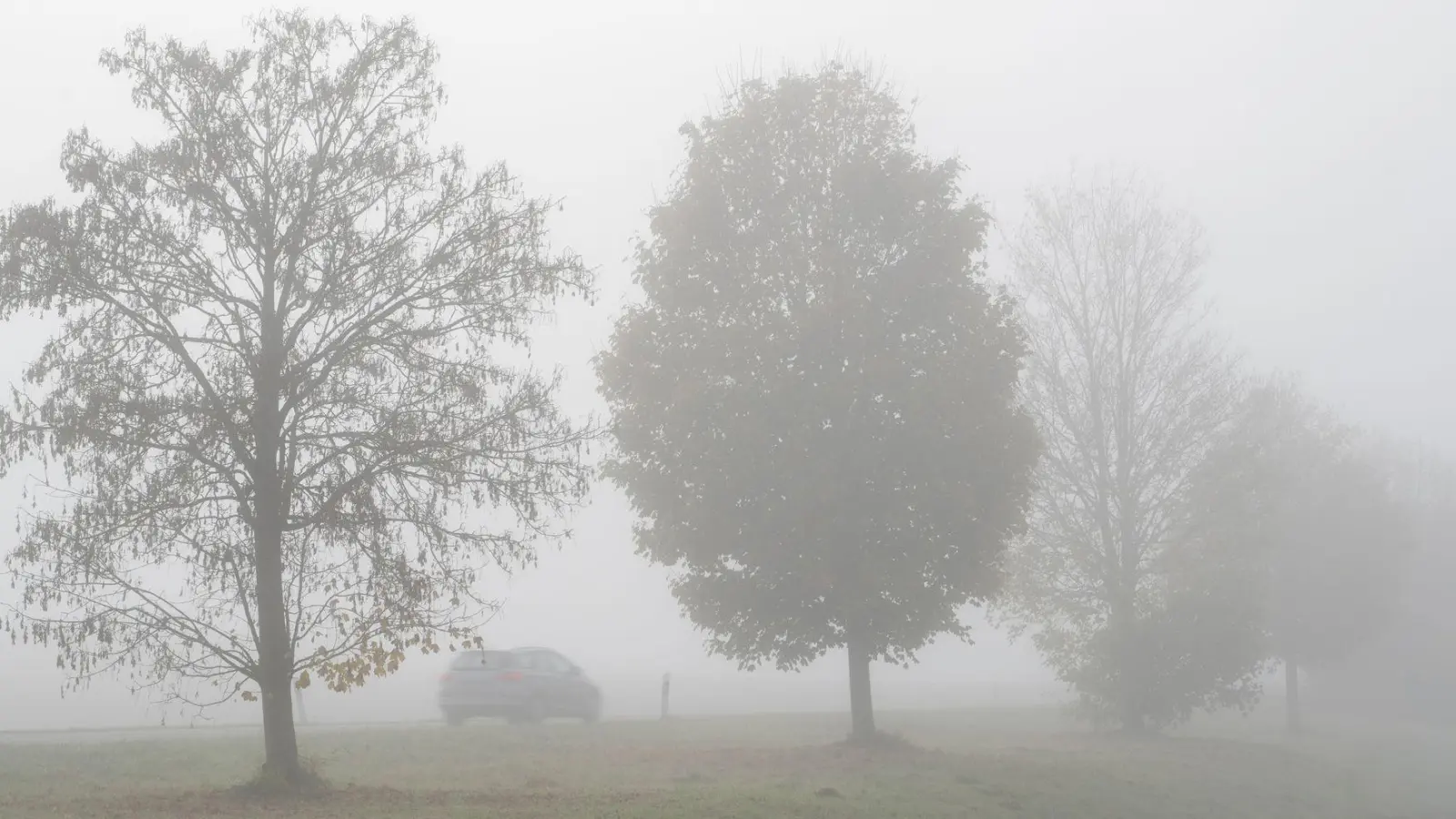 Vor allem in Bayern bleibt auch der Adventssonntag vielerorts sehr trübe, Hoffnung macht der Start in die neue Woche. (Archivfoto) (Foto: Stefan Puchner/dpa)