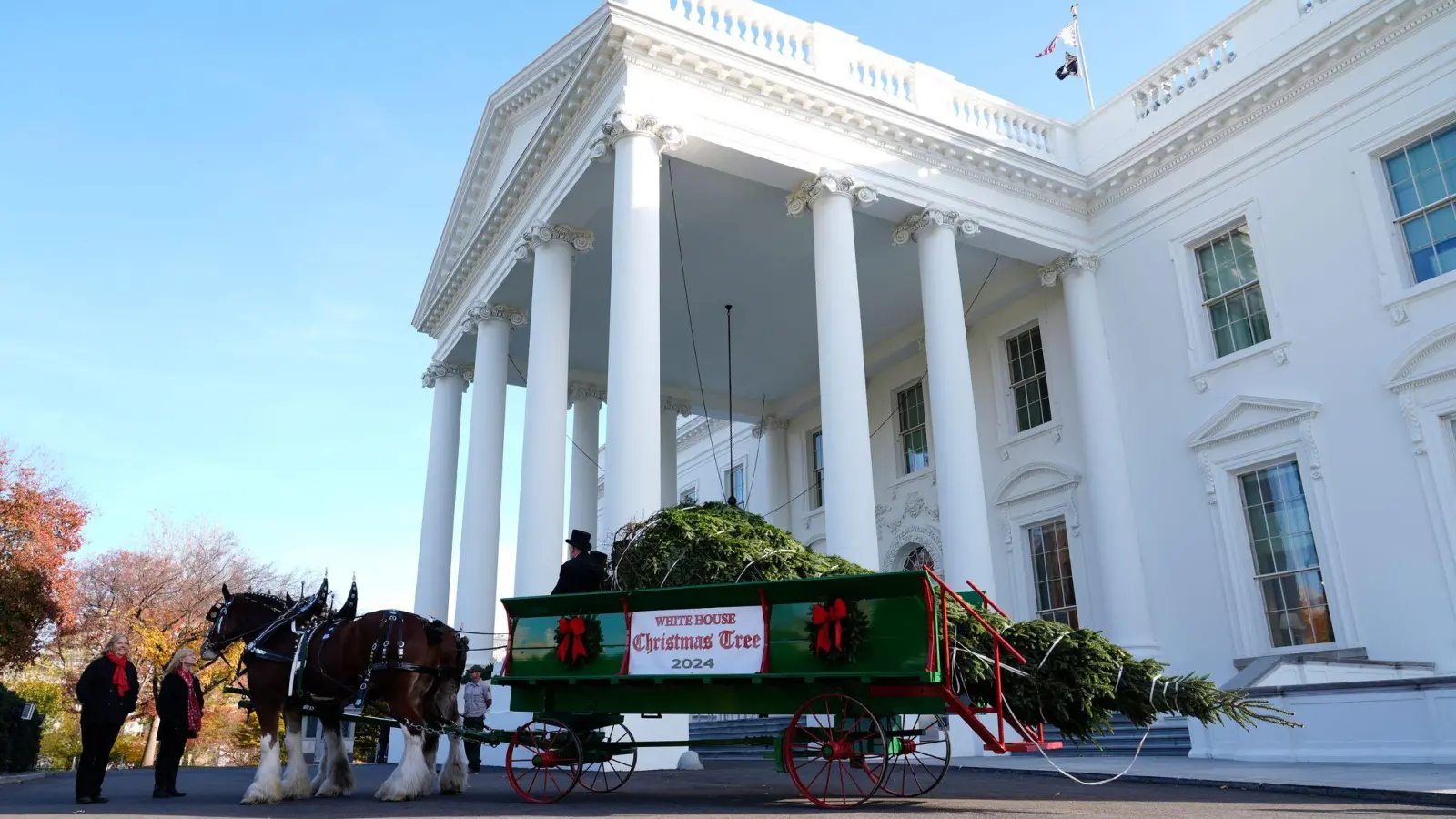 Der diesjährige Weihnachtsbaum stammt aus North Carolina.  (Foto: Susan Walsh/AP)