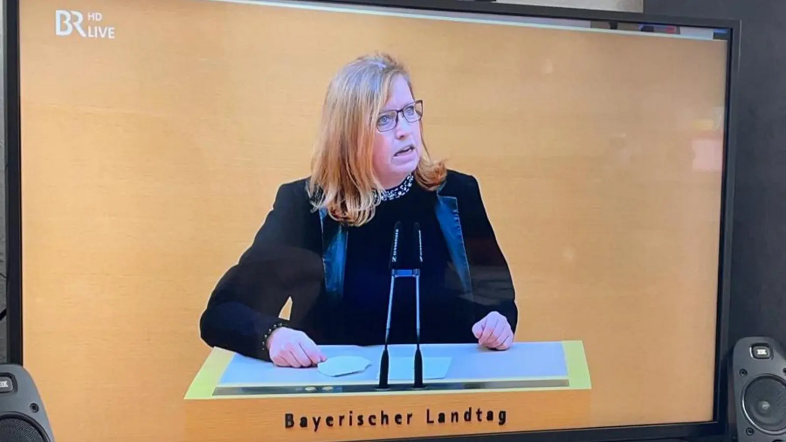 Die Landtagsabgeordnete Gabi Schmidt bei ihrer Rede gegen die AfD, die im Internet viral ging und ihr viele Reaktionen eingebracht hat.  (Foto: Abgeordnetenbüro Gabi Schmidt)