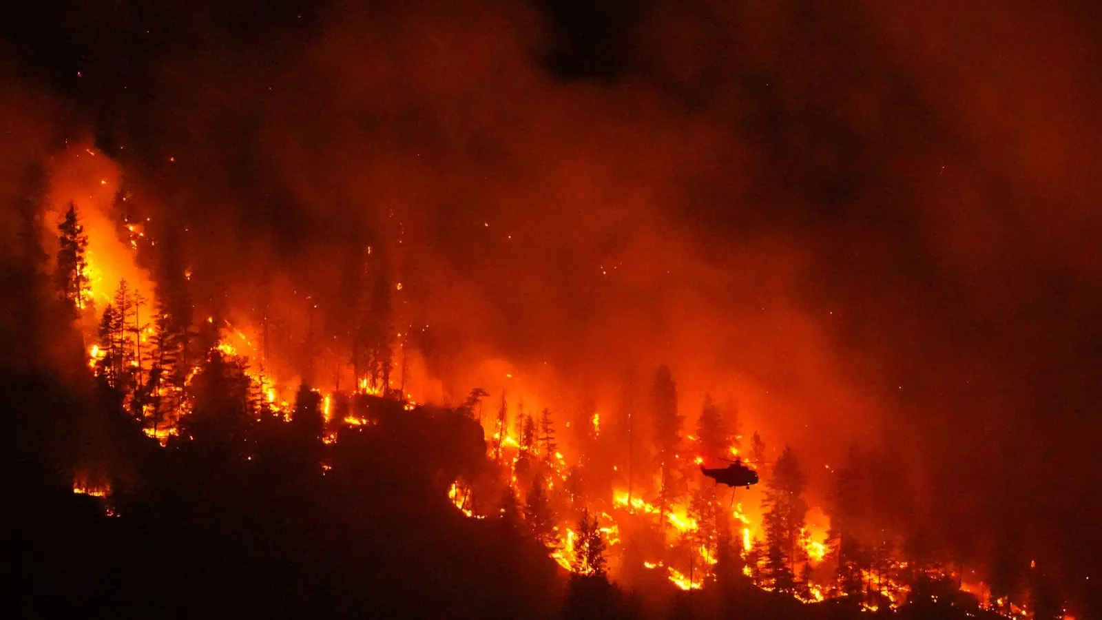 Mit einer sich erhöhenden Ausbreitungsgeschwindigkeit nimmt auch die Intensität der Feuer zu. (Foto: Darryl Dyck/The Canadian Press via AP/dpa)
