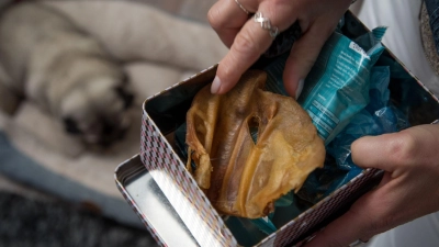 Nach dem Anfassen von Hundesnacks ist gründliches Händewaschen wichtig: So bleibt das Risiko für Mensch und Tier gering. (Foto: Christin Klose/dpa-tmn)