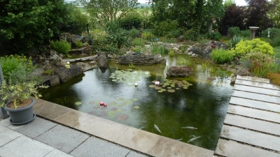 Der Tag der offenen Gartentür findet am Sonntag, 28. Juni, statt. Auf dem Foto ist der Gartenteich der Familie Dänzer zu sehen, die in diesem Jahr teilnimmt. (Archivbild: Volkmar Then)