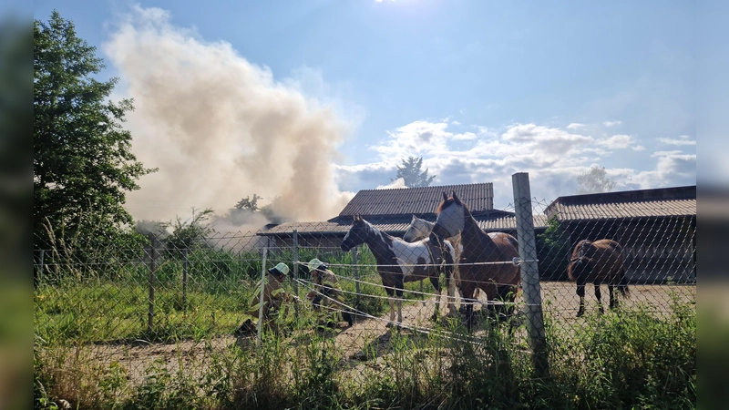 Dichte Rauchwolken sind momentan in Schmalenbach zu sehen. (Foto: afr)
