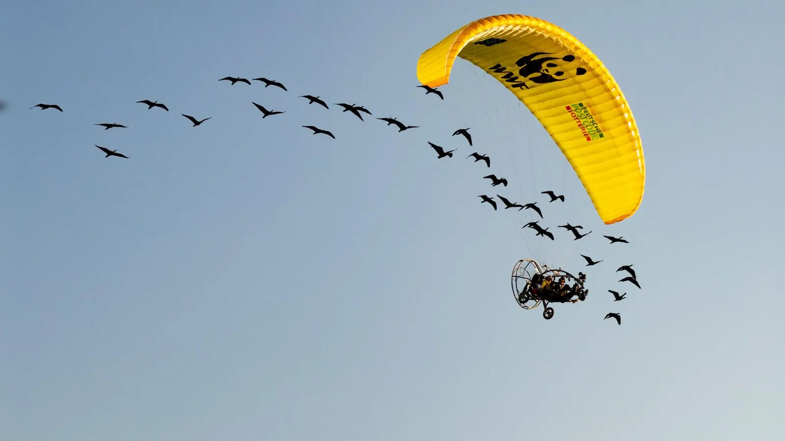 Teile der Strecke mussten die seltenen Vögel auch im Auto zurücklegen. (Foto: Gunnar Hartmann/Waldrappteam Conservation and Research/dpa)