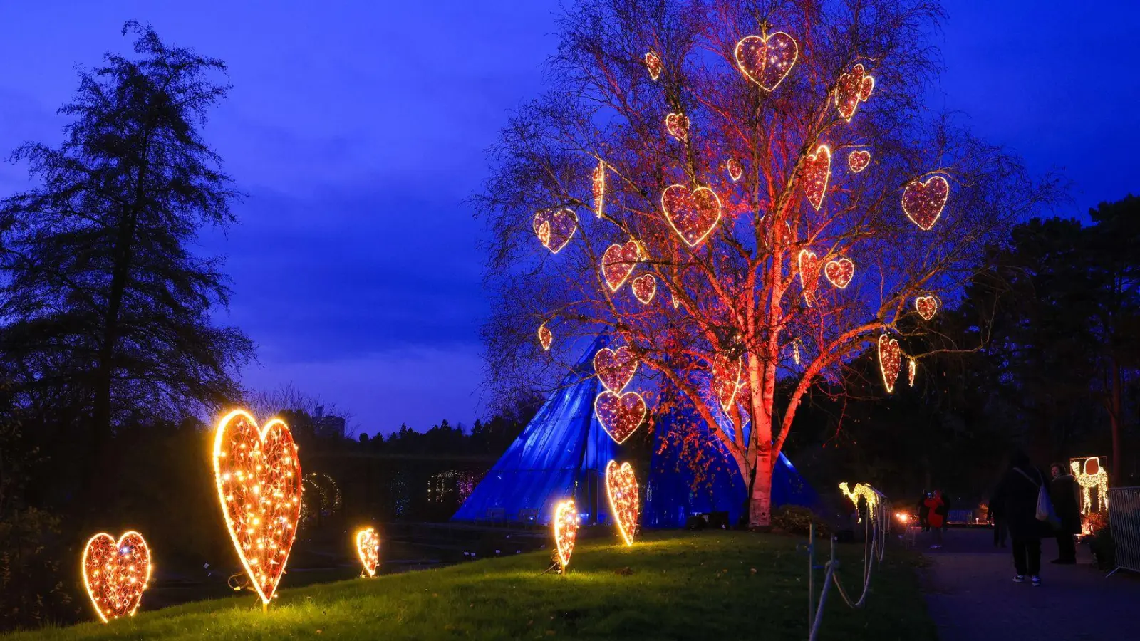 Viele bunte Lichter zu Weihnachten: Besucher sind im „Christmas Garden“ im Loki-Schmidt-Garten in Hamburg unterwegs.  (Foto: Christian Charisius/dpa)