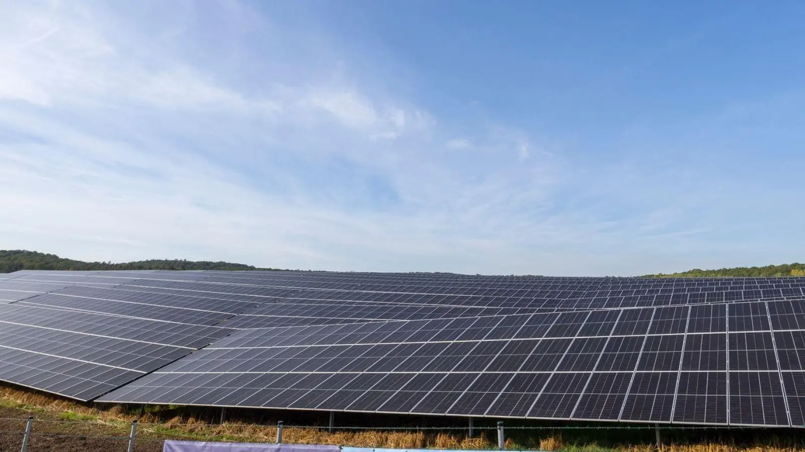 Blick auf den Solarpark Bundorf. (Foto: Heiko Becker/dpa)