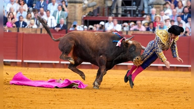 Der mehr als 500 Kilogramm schwere Bulle Clandestino spießte den Star-Torero von hinten auf. (Foto: Joaquín Corchero/EUROPA PRESS/dpa)