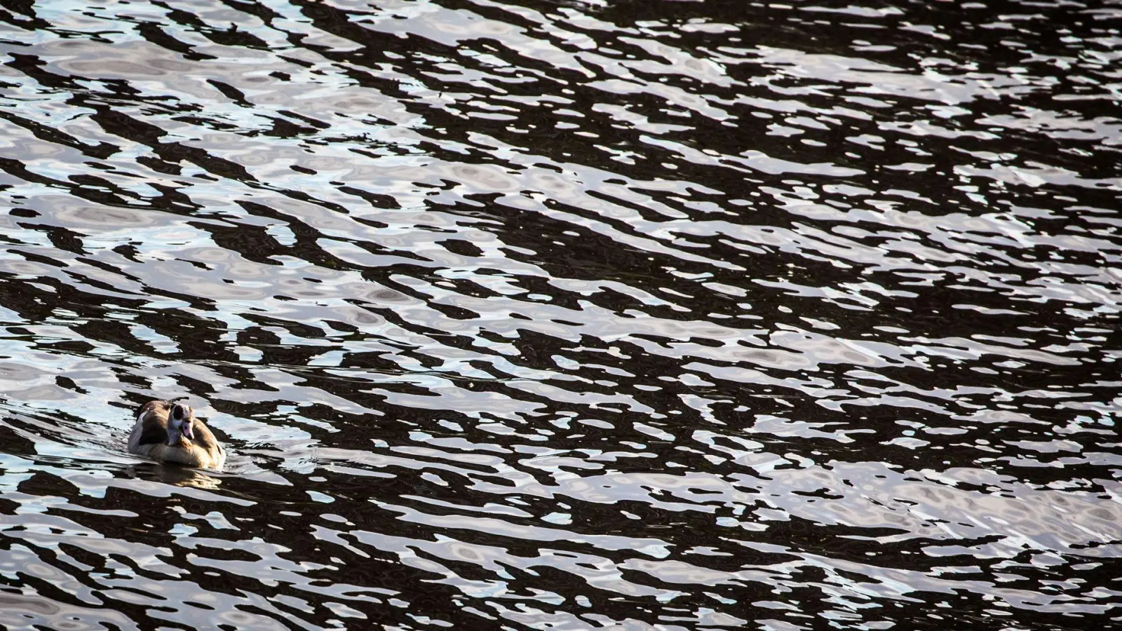 Auf dem Main in Unterfranken gab es eine Havarie, bei der Dieselkraftstoff ins Wasser gelaufen ist. (Symbolbild) (Foto: picture alliance / Frank Rumpenhorst/dpa)